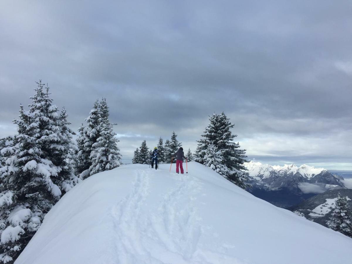 Chalet Rouge Coeur Бекс Экстерьер фото