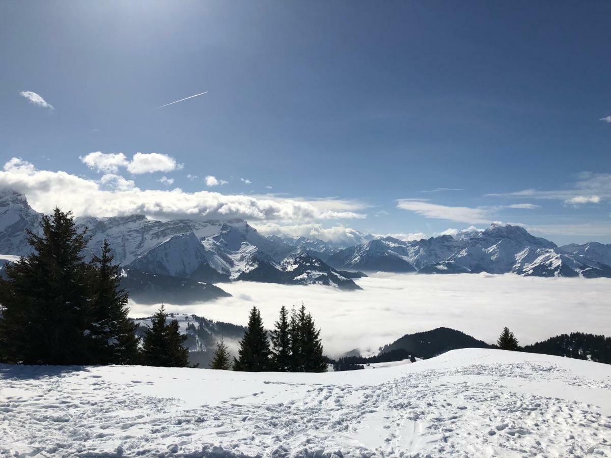Chalet Rouge Coeur Бекс Экстерьер фото