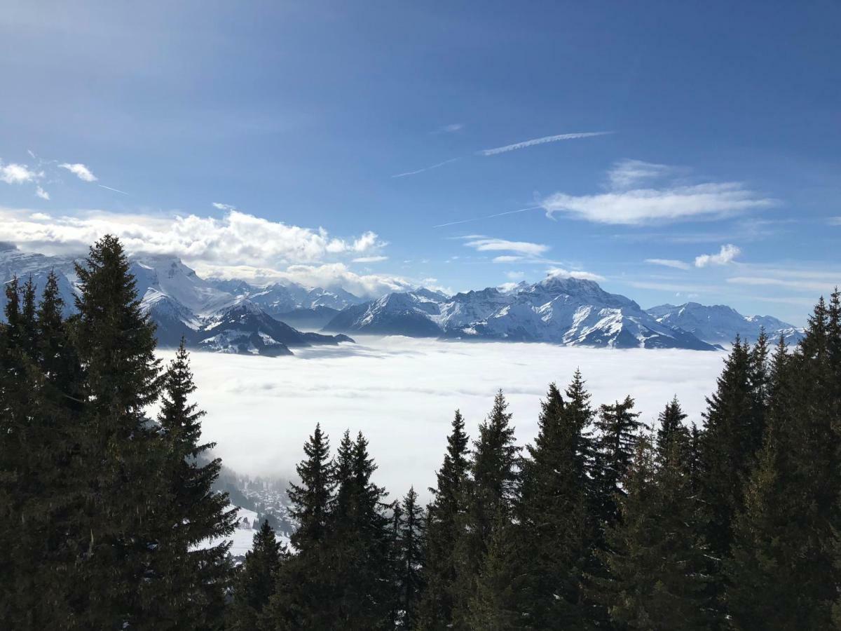 Chalet Rouge Coeur Бекс Экстерьер фото